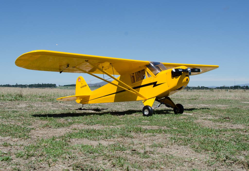 Andy deWater's Piper Cub